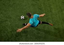 section layout diagram